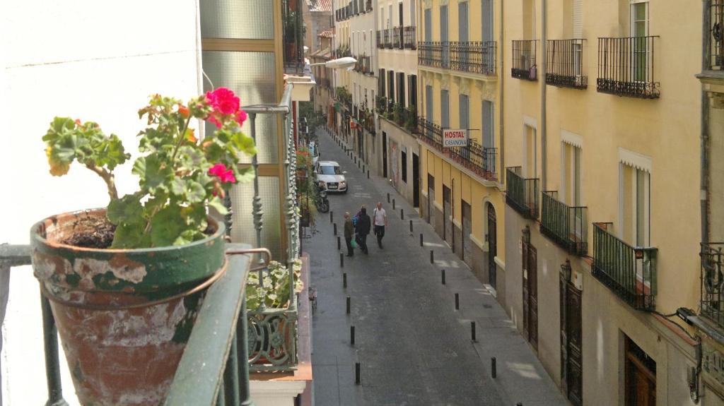 Hostal San Antonio Madrid Eksteriør billede