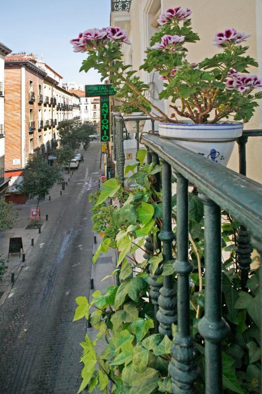 Hostal San Antonio Madrid Eksteriør billede